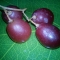 Anggur Merah ( Red grapes )